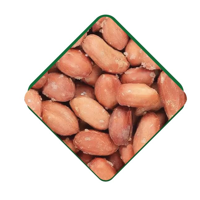 Salted Peanut
